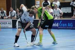 Bestplayer A. Eglauf am Bully