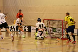 Den Steinböcken einen Punkt geklaut!